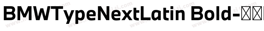 BMWTypeNextLatin Bold字体转换